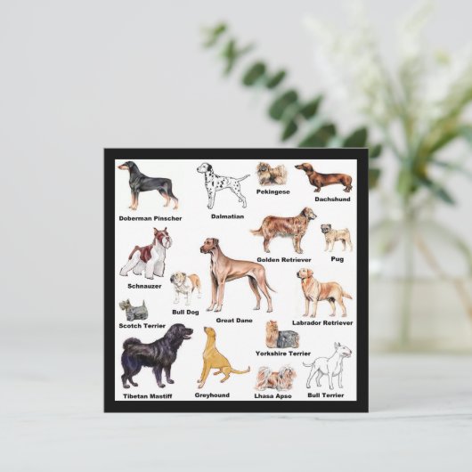 Dog Types (Standing Front)