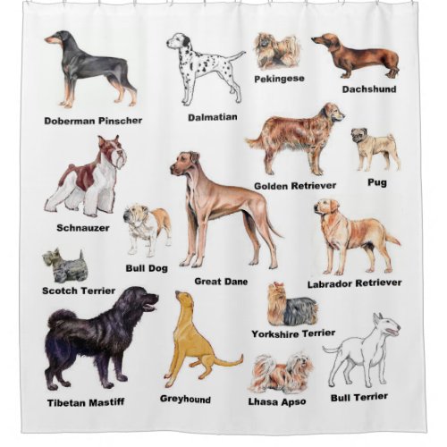 Dog Types Shower Curtain