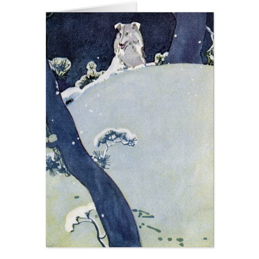 Dog Under Snowy Pines Cards (Front)