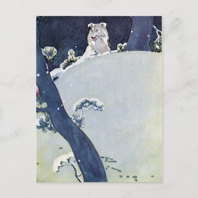 Dog Under Snowy Pines Postcard (Front)