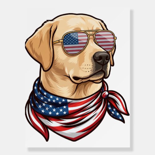 Dog Usa Flag Sunglasses Bandana Foam Board