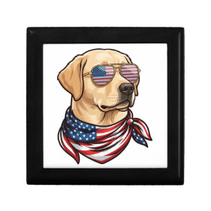 Dog Usa Flag Sunglasses Bandana Gift Box
