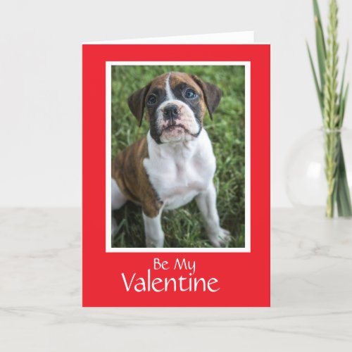 Dog Valentine Day Card