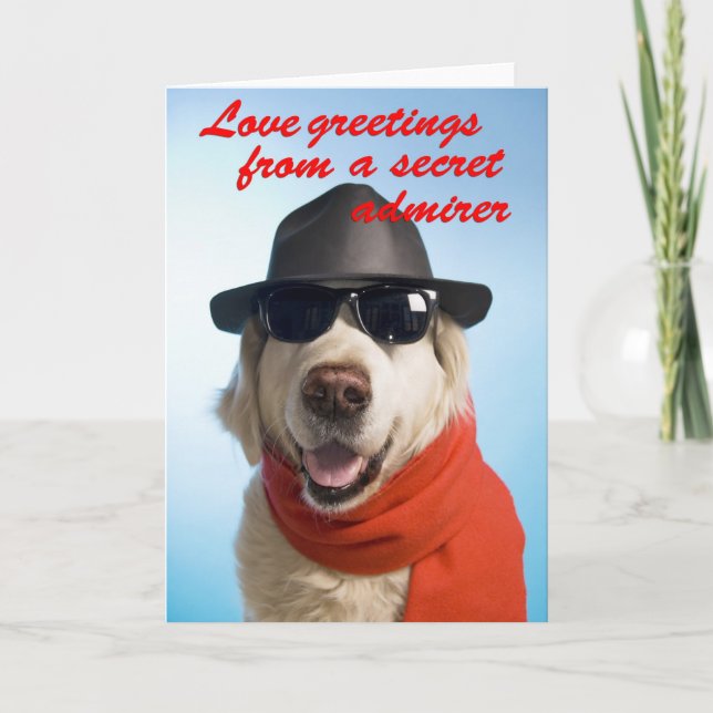Dog Valentine Secret Admirer Greeting Card Jitka (Front)