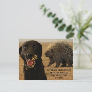 Dog vs. Porcupine Card