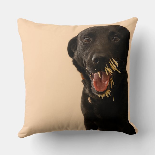 Dog vs. Porcupine Pillow (Back)