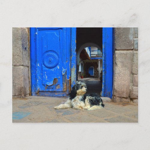 Dog Waiting in Front Of Blue Door Cusco Peru Postcard