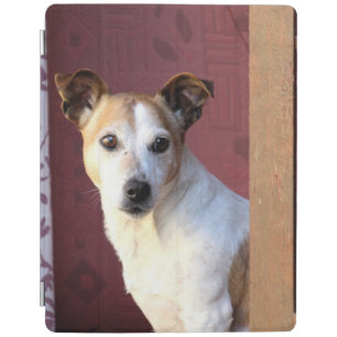 Dog Waiting iPad Smart Cover