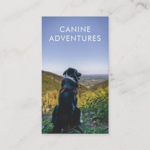 Dog Walker Adventure Walks And Hikes Business Card