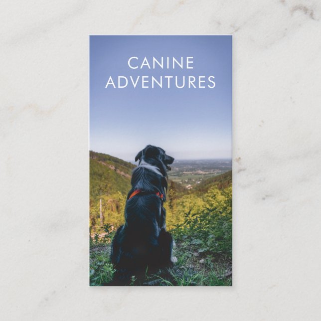Dog Walker Adventure Walks And Hikes Business Card (Front)