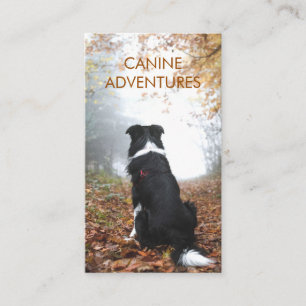 Dog Walker Adventure Walks And Hikes Business Card