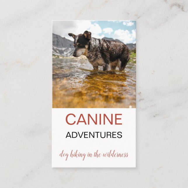 Dog Walker Adventure Walks & Hikes Business Card (Front)