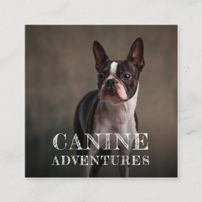 Dog Walker And Dog Adventures Square Business Card (Front)