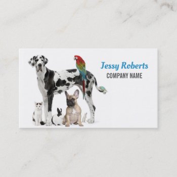 Dog Walker Animal Care Veterinarian Pet Sitting Business Card by WhenWestMeetEast at Zazzle