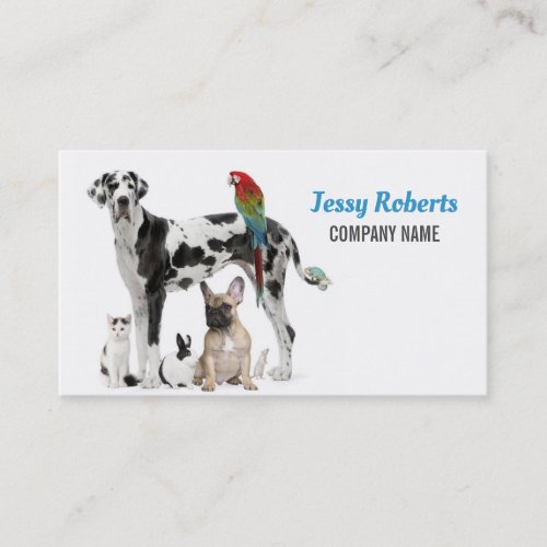 Dog Walker Animal Care Veterinarian Pet Sitting Business Card