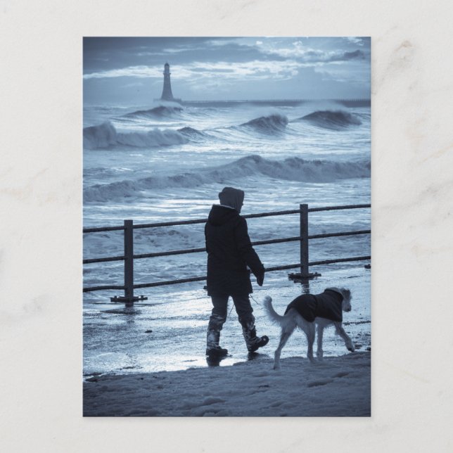 Dog Walker at Roker Postcard (Front)