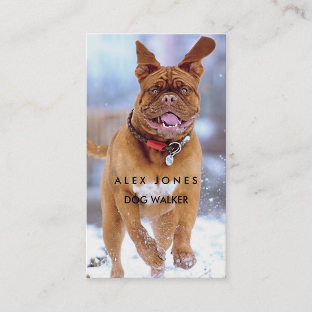 Dog walker business card (Front)