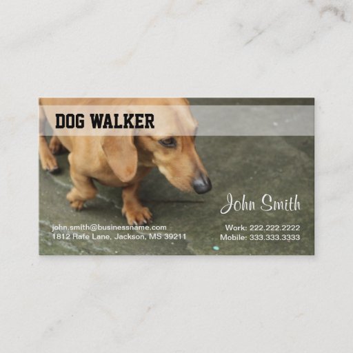 Customizable Dog Walker Business Card