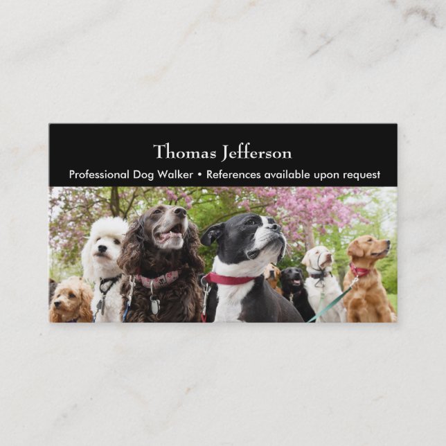 Dog walker  Business Card (Front)