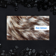 Dog Walker Business Cards Professional Modern Pet