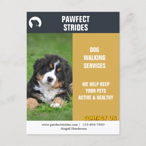 Dog Walker Business Marketing  Postcard