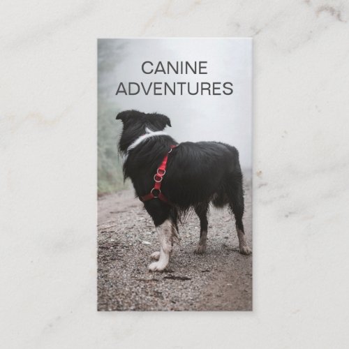 Dog Walker Dog Hikes And Pet Care Business Card