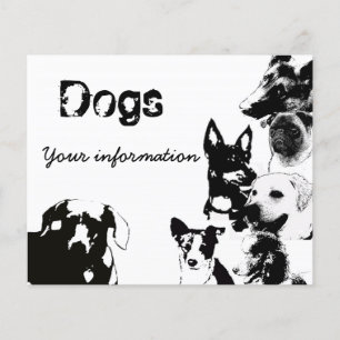 Dog walker Flyer2 Flyer