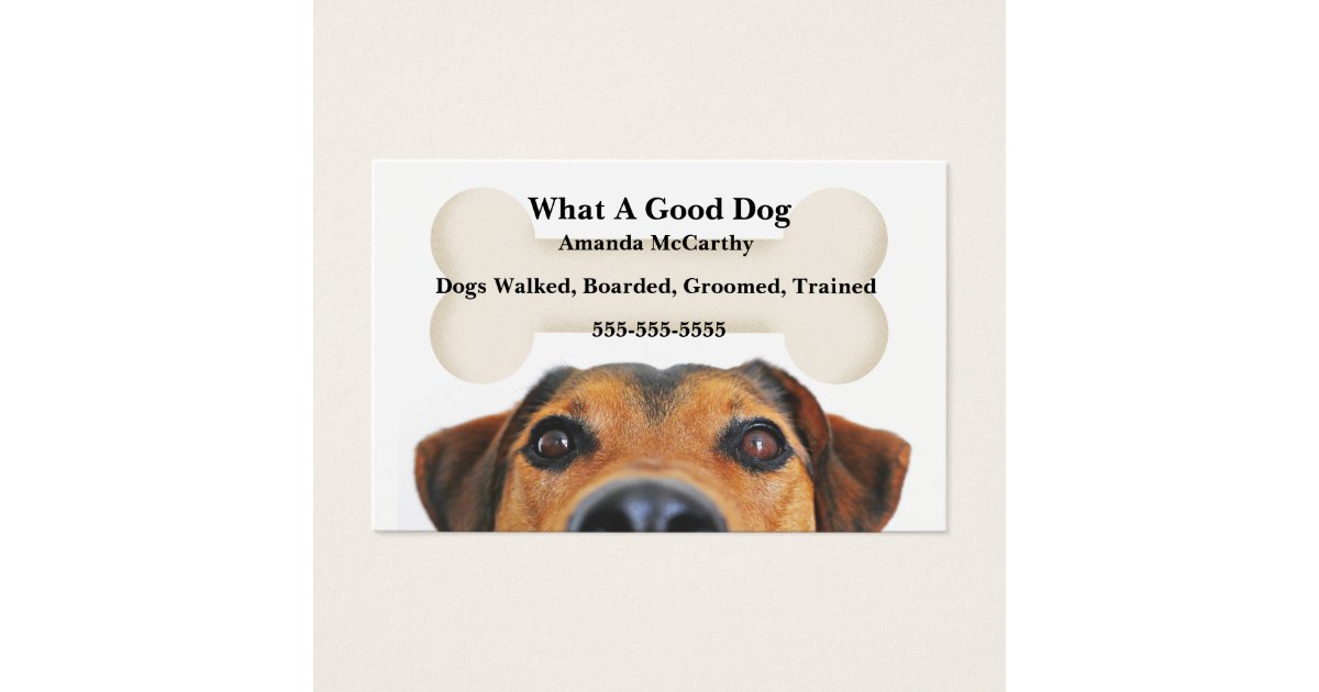 is dog boarding a good business