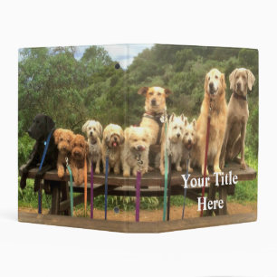 Dog Walker Mini Binder