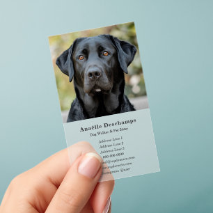 Dog Walker Pet Sitter Custom Photo Clear Business Cards
