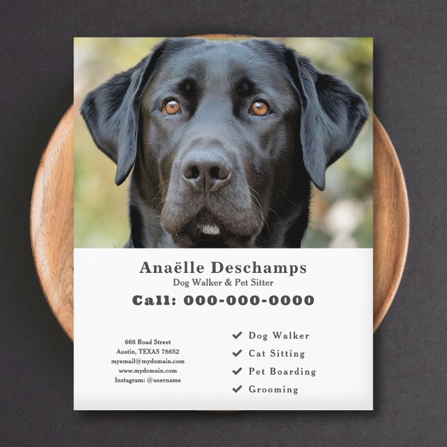 Dog Walker Pet Sitter Custom Photo White Flyer (Dog Walker Pet Sitter Custom Photo White Flyer)