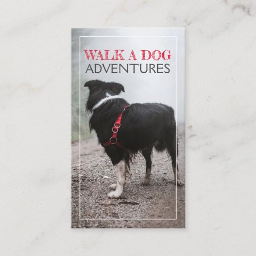 Dog Walker Pet Sitter Dog Hikes And Pet Care Business Card