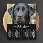 Dog Walker Pet Sitter Photo Tear Off Strips Flyer<br><div class="desc">A sleek and minimalist black flyer with Tear Off Strips featuring a customizable photo of a cute black Labrador,  perfect for dog walker & pet sitter,  Canine Behavior Educator,  groomer. You can replace the photo with your own logo! On the back there is a dog paw pattern!</div>