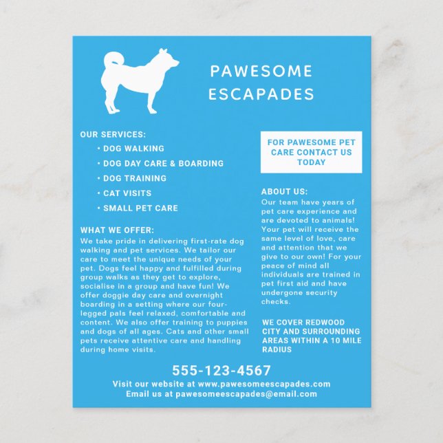 Dog Walker & Pet Sitter Teal Flyer (Front)