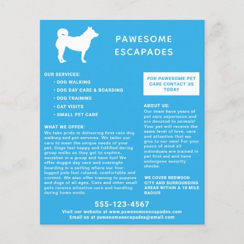 Dog Walker  Pet Sitter Teal Flyer