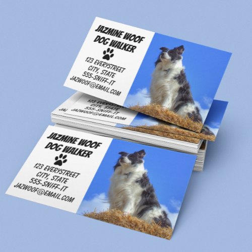 Dog Walker Pet Sitting Business Card