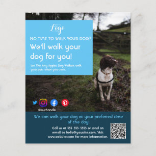 dog walker pet sitting pet service grooming  flyer