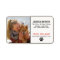 Dog Walker Pet Sitting Your Pet Lover Photo
