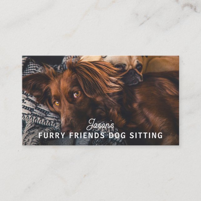 Dog Walker Sitting Daycare Service Business Card (Front)