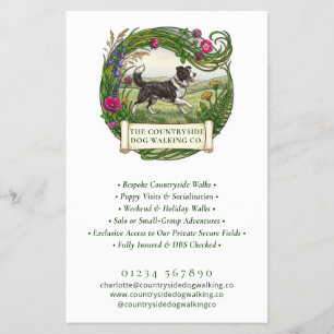 Dog Walker Trainer Private Park Border Collie Flyer