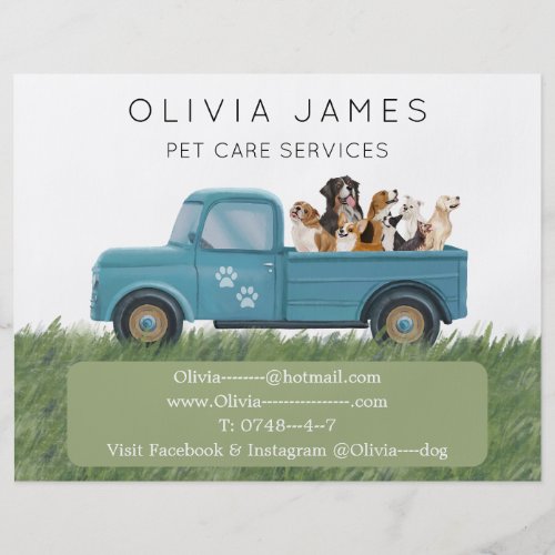 Dog walker van pet care service promotional flyer