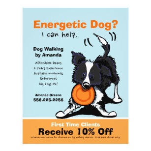 Dog Walker Walking Ad Coupon Border Collie Flyer