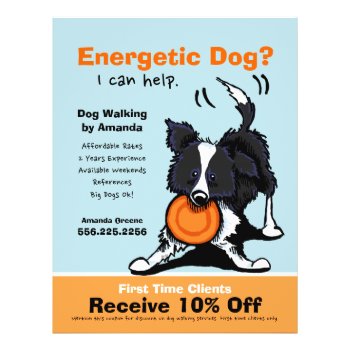Dog Walker Walking Ad Coupon Border Collie Flyer by offleashart at Zazzle
