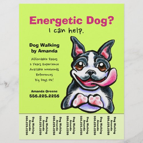 Dog Walker Walking Boston Tear Sheet