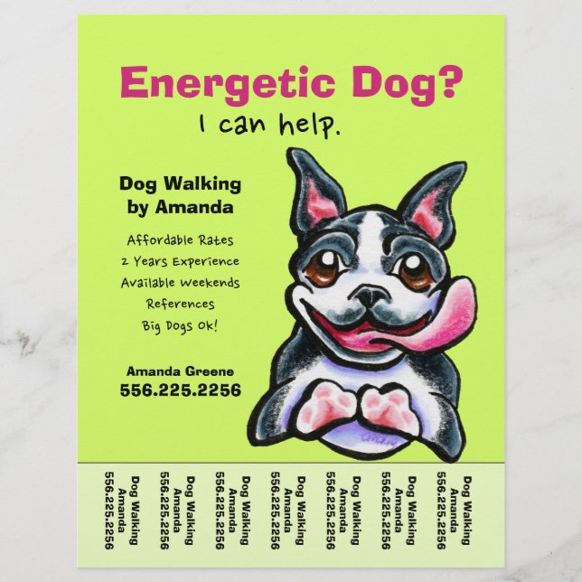 Dog Walker Walking Boston Tear Sheet (Front)