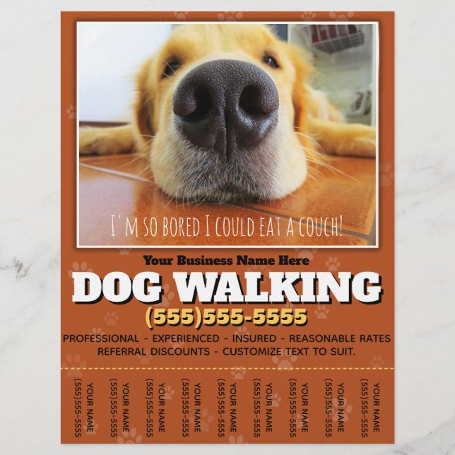 Dog Walking Custom Flyer (Front)