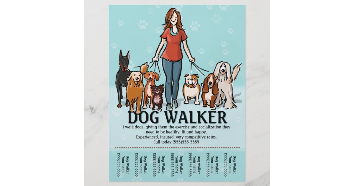 Dog Walking Accessories Dog Walking Accessories