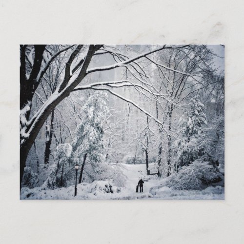 Dog Walking In A Winter Wonderland Postcard
