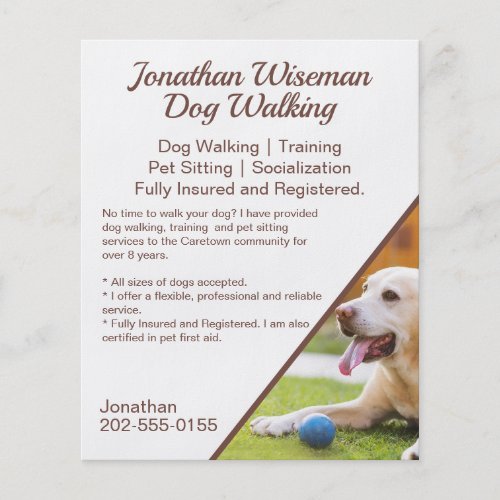 Dog Walking Pet Sitting Business Promotional Flyer