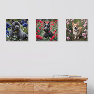 Dog Wall Art : Staffy, Scottish Terrier And Corgi, Wood Photo Tile